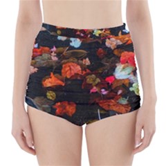 Leaves And Puddle High-waisted Bikini Bottoms by okhismakingart