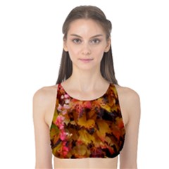 Red And Yellow Ivy Tank Bikini Top by okhismakingart