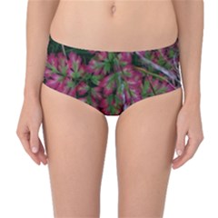 Pink-fringed Leaves Mid-waist Bikini Bottoms by okhismakingart