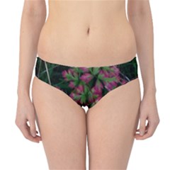 Pink-fringed Leaves Hipster Bikini Bottoms by okhismakingart