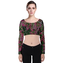 Pink-fringed Leaves Velvet Long Sleeve Crop Top by okhismakingart