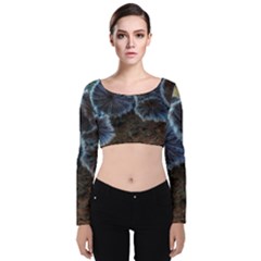 Tree Fungus Velvet Long Sleeve Crop Top by okhismakingart