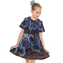 Tree Fungus Kids  Short Sleeve Shirt Dress by okhismakingart