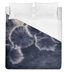 Tree Fungus Ii Duvet Cover (queen Size) by okhismakingart