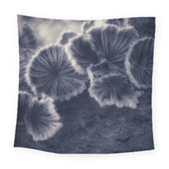 Tree Fungus Ii Square Tapestry (large) by okhismakingart