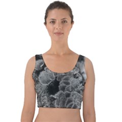 Tree Fungus Branch Vertical Black And White Velvet Crop Top by okhismakingart