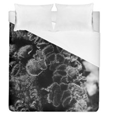 Tree Fungus Branch Vertical High Contrast Duvet Cover (queen Size) by okhismakingart