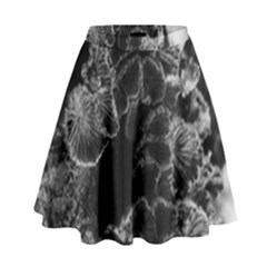 Tree Fungus Branch Vertical High Contrast High Waist Skirt by okhismakingart