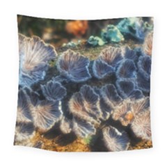 Tree Fungus Branch Square Tapestry (Large)