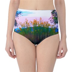 Field Of Goldenrod Classic High-waist Bikini Bottoms by okhismakingart