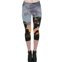 Sunflower Sunset Capri Leggings 