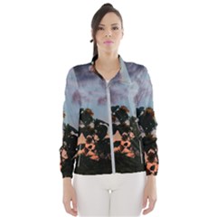 Sunflower Sunset Women s Windbreaker