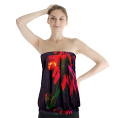 Neon Cone Flower Strapless Top by okhismakingart