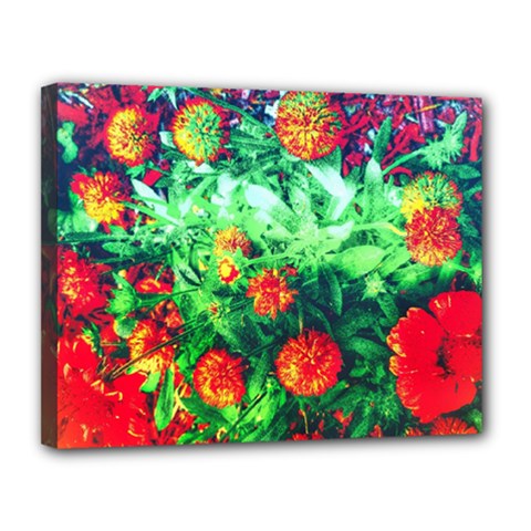 Intense Flowers Canvas 14  X 11  (stretched) by okhismakingart
