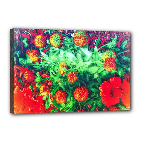 Intense Flowers Canvas 18  X 12  (stretched)