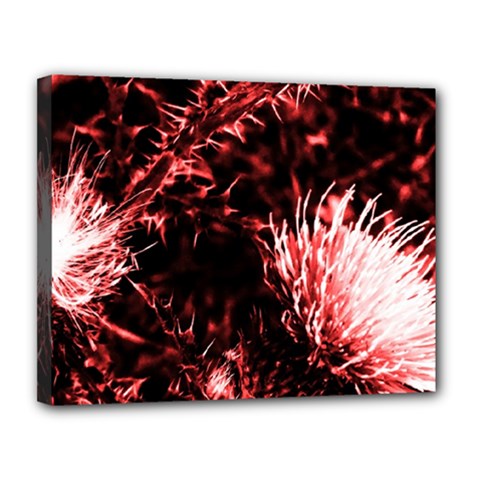 Red Thistle Canvas 14  X 11  (stretched) by okhismakingart
