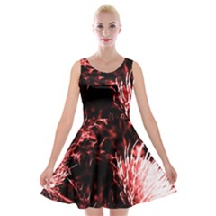 Red Thistle Velvet Skater Dress by okhismakingart