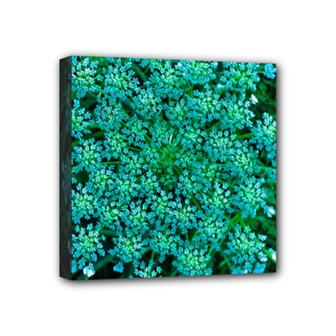 Turquoise Queen Anne s Lace Mini Canvas 4  X 4  (stretched) by okhismakingart