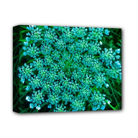 Turquoise Queen Anne s Lace Deluxe Canvas 14  X 11  (stretched) by okhismakingart