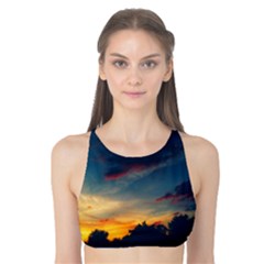 Muted Sunset Tank Bikini Top by okhismakingart