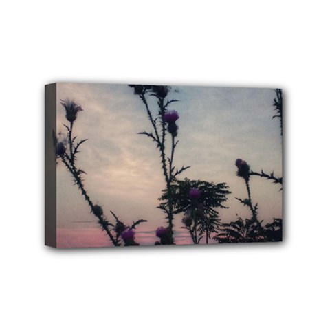 Hazy Thistles Mini Canvas 6  X 4  (stretched) by okhismakingart