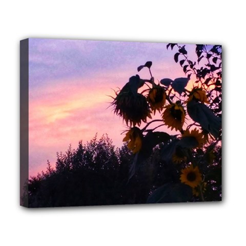 Sunflower Sunset Ii Deluxe Canvas 20  X 16  (stretched) by okhismakingart