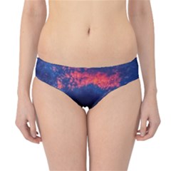 Afternoon Majesty Hipster Bikini Bottoms by okhismakingart