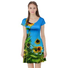 Bright Sunflowers Short Sleeve Skater Dress by okhismakingart
