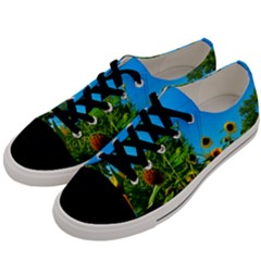 Bright Sunflowers Men s Low Top Canvas Sneakers by okhismakingart