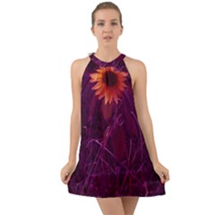 Purple Sunflower Halter Tie Back Chiffon Dress