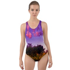 Purple Afternoon Cut-out Back One Piece Swimsuit by okhismakingart