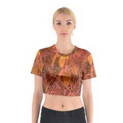 Red Tinted Sunflower Cotton Crop Top by okhismakingart