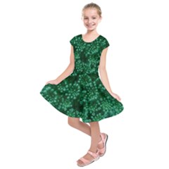 Green Queen Anne s Lace (up Close) Kids  Short Sleeve Dress by okhismakingart