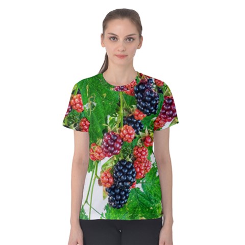 Blackberries Women s Cotton Tee by okhismakingart