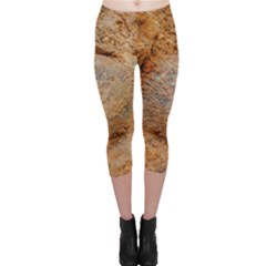 Shell Fossil Ii Capri Leggings  by okhismakingart