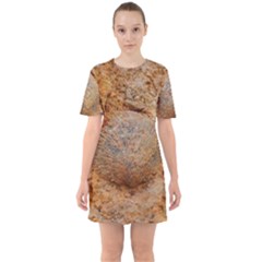 Shell Fossil Ii Sixties Short Sleeve Mini Dress by okhismakingart