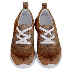 Shell Fossil Ii Running Shoes by okhismakingart