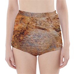 Shell Fossil Ii High-waisted Bikini Bottoms by okhismakingart