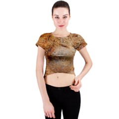 Shell Fossil Ii Crew Neck Crop Top by okhismakingart