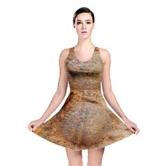 Shell Fossil Ii Reversible Skater Dress by okhismakingart