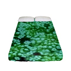 Green Queen Anne s Lace Landscape Fitted Sheet (full/ Double Size) by okhismakingart