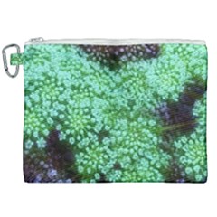 Green Queen Anne s Lace Landscape Canvas Cosmetic Bag (xxl) by okhismakingart