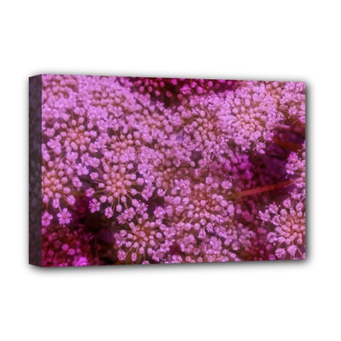 Pink Queen Anne s Lace Landscape Deluxe Canvas 18  X 12  (stretched) by okhismakingart