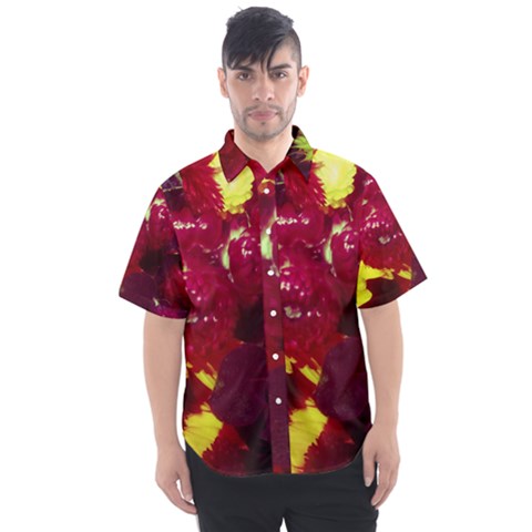 Sunflower And Cockscomb Men s Short Sleeve Shirt by okhismakingart