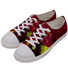 Sunflower And Cockscomb Women s Low Top Canvas Sneakers by okhismakingart