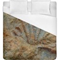 Shell Fossil Duvet Cover (King Size) View1