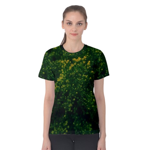 Green Goldenrod Women s Cotton Tee by okhismakingart