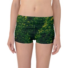 Green Goldenrod Boyleg Bikini Bottoms