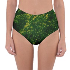 Green Goldenrod Reversible High-waist Bikini Bottoms by okhismakingart