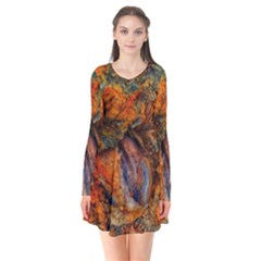 Rainbow Fossil Long Sleeve V-neck Flare Dress by okhismakingart